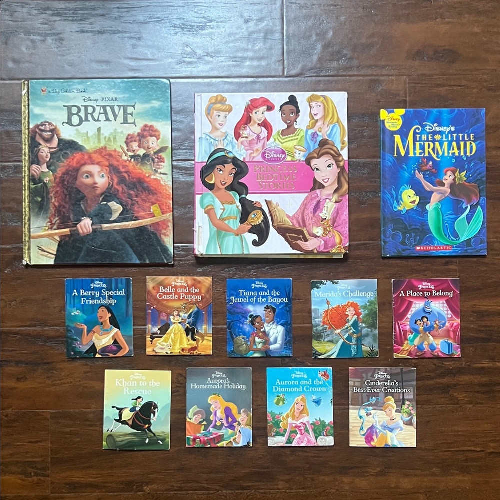 Disney Princess Storybook Bundle